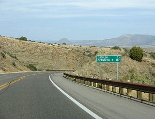 Distance sign to Show Low and Springerville. US 60 will cross some rugged terrain between Globe and Springerville.