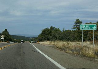Distance sign to Show Low and Springerville.