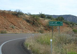Distance sign to Show Low and Springerville, the next two cities along US 60.