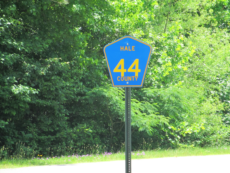 Alabama Hale County route 44 sign.