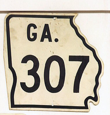 Georgia State Highway 307 sign.