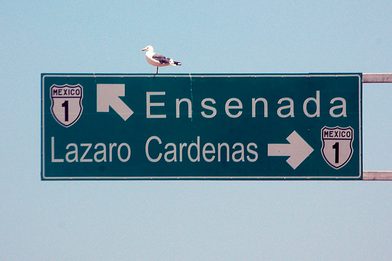 Mexico Federal Highway 1 sign.