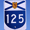 provincial secondary route 125 thumbnail NS19801251