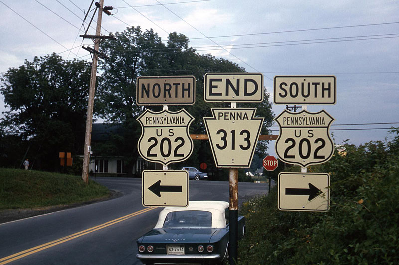 Pennsylvania - U.S. Highway 202 and State Highway 313 sign.